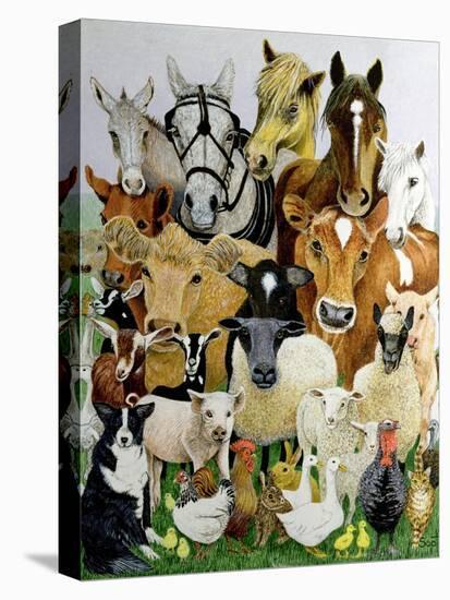 Animal Allsorts-Pat Scott-Premier Image Canvas