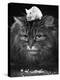 Animal Friendships: Cats and Mice-null-Premier Image Canvas