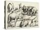 Animal Paintings from Ancient Rome, Table, 3., Pub. Antonio Lafrere 1528 (Engraving)-Italian School-Premier Image Canvas
