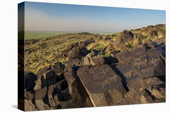 Animal Petroglyphs Between 5-Inaki Relanzon-Premier Image Canvas