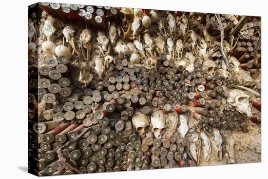 Animal skulls and ammo embedded in wall, Mopti Region, Mali-Art Wolfe-Premier Image Canvas