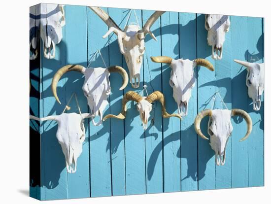 Animal Skulls for Sale, Taos, New Mexico, USA-Scott T. Smith-Premier Image Canvas