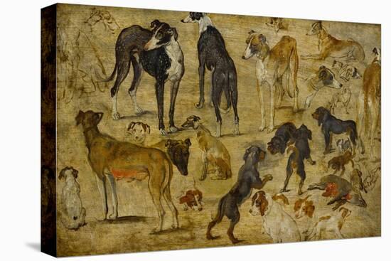 Animal Studies: Dogs-Jan Brueghel the Elder-Premier Image Canvas