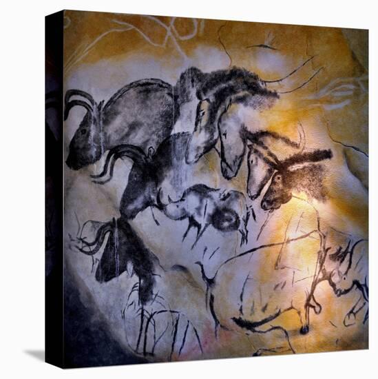 Animals and Birds, Chauvet-Pont-D'Arc Cave, Ardeche-null-Premier Image Canvas