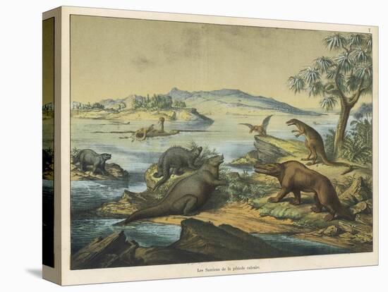 Animals and Plants of the Post-Jurassic Era in Southern England-Ferdinand Von Hochstetter-Premier Image Canvas