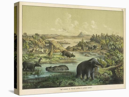 Animals and Plants of the Tertiary Era in Europe-Ferdinand Von Hochstetter-Stretched Canvas