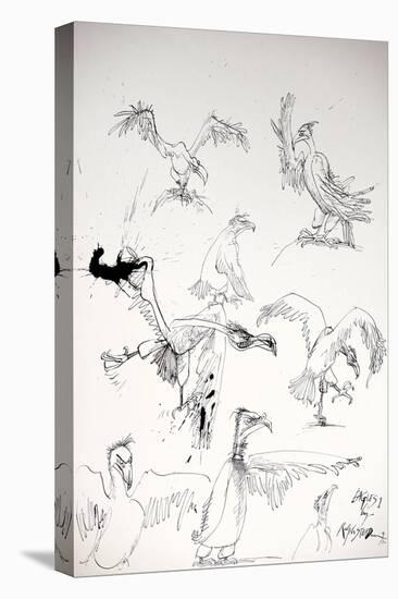 Animals (birds) 14, Eagles 1, 1992 (drawing)-Ralph Steadman-Premier Image Canvas