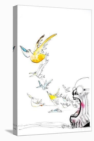 Animals (birds) 30 (drawing)-Ralph Steadman-Premier Image Canvas