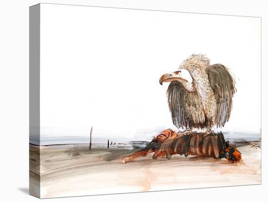 Animals (birds) 36 (drawing)-Ralph Steadman-Premier Image Canvas