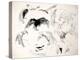 Animals (birds) 42 (drawing)-Ralph Steadman-Premier Image Canvas