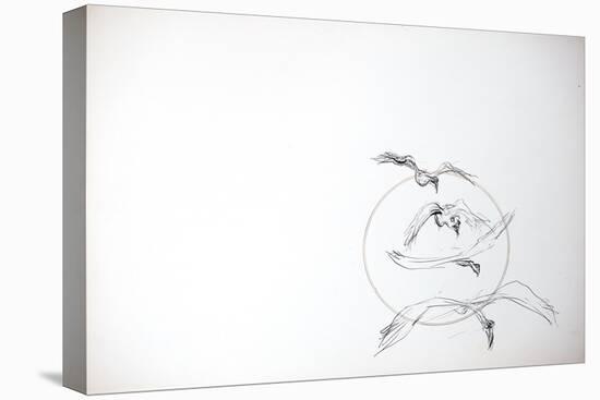 Animals (birds) 7 (drawing)-Ralph Steadman-Premier Image Canvas