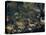 Animals Entering the Ark-Jacopo Bassano-Premier Image Canvas