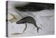 Animals (fish), Whale, 1987 (ink on paper)-Ralph Steadman-Premier Image Canvas