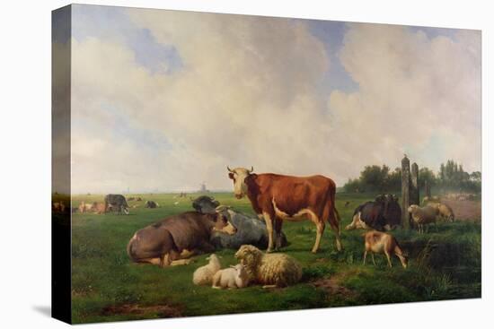 Animals Grazing in a Meadow-Hendrikus van de Sende Baachyssun-Premier Image Canvas