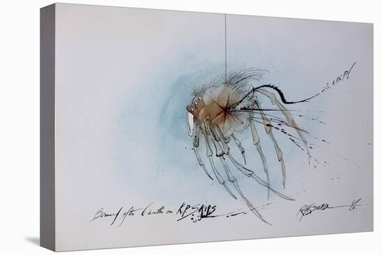 Animals (insects), Bernard the Lazy Spider, 1986 (ink on paper)-Ralph Steadman-Premier Image Canvas