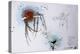 Animals (insects), Bernard the Lazy Spider, 1986 (ink on paper)-Ralph Steadman-Premier Image Canvas