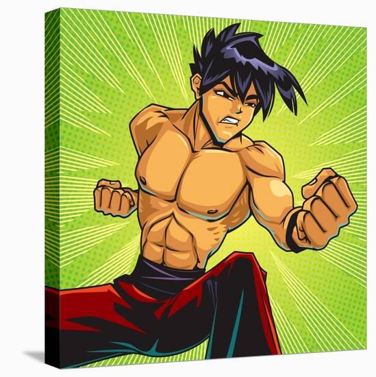 Anime Fighter-Harry Briggs-Premier Image Canvas