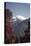 Annapurna South-Andrew Taylor-Premier Image Canvas