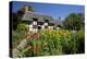 Anne Hathaway's Cottage, Stratford-Upon-Avon, Warwickshire, England, United Kingdom, Europe-Stuart Black-Premier Image Canvas