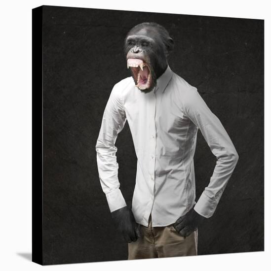 Annoyed Monkey Shouting On Black Background-Aaron Amat-Stretched Canvas