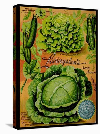 Annual Of True Blue Lettuce-Vintage Apple Collection-Premier Image Canvas