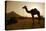 Annual Pushkar Camel Festival, Rajasthan, Pushkar, India-David Noyes-Premier Image Canvas