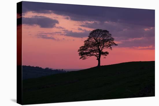 Another Day Passing-Doug Chinnery-Premier Image Canvas