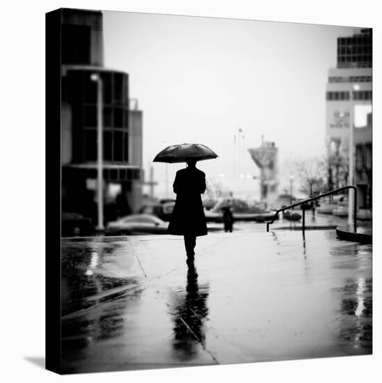 Another Lonely Day in the Rain-Sharon Wish-Premier Image Canvas