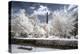 Another Look at Paris-Philippe Hugonnard-Premier Image Canvas