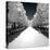 Another Look - Paris-Philippe Hugonnard-Premier Image Canvas