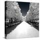 Another Look - Paris-Philippe Hugonnard-Premier Image Canvas