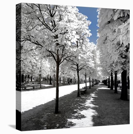 Another Look - Paris-Philippe Hugonnard-Premier Image Canvas