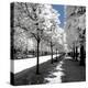 Another Look - Paris-Philippe Hugonnard-Premier Image Canvas