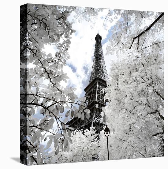 Another Look - Paris-Philippe Hugonnard-Premier Image Canvas