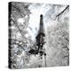 Another Look - Paris-Philippe Hugonnard-Premier Image Canvas