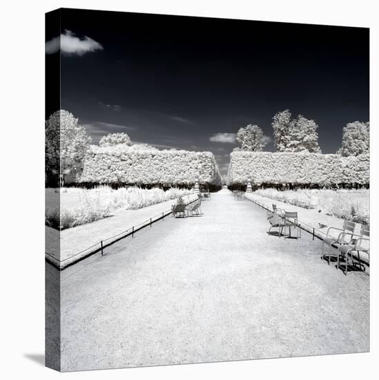 Another Look - Paris-Philippe Hugonnard-Premier Image Canvas