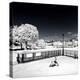 Another Look - Paris-Philippe Hugonnard-Premier Image Canvas