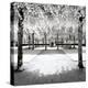 Another Look - Paris-Philippe Hugonnard-Premier Image Canvas