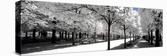 Another Look - Paris-Philippe Hugonnard-Premier Image Canvas