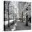 Another Look - Paris-Philippe Hugonnard-Premier Image Canvas