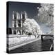 Another Look - Paris-Philippe Hugonnard-Premier Image Canvas