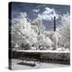 Another Look - Paris-Philippe Hugonnard-Premier Image Canvas