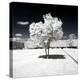 Another Look - Paris-Philippe Hugonnard-Premier Image Canvas