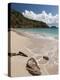 Anse de Grande Saline Beach, St. Barthelemy, West Indies, Caribbean, Central America-Sergio Pitamitz-Premier Image Canvas