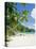 Anse Intedance, Mahe, Seychelles, Indian Ocean-Robert Harding-Premier Image Canvas