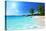 Anse Lazio Beach at Praslin Island, Seychelles-Iakov Kalinin-Premier Image Canvas