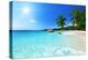 Anse Lazio Beach at Praslin Island, Seychelles-Iakov Kalinin-Premier Image Canvas