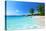 Anse Lazio Beach at Praslin Island, Seychelles-ESB Professional-Premier Image Canvas