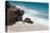 Anse Maquereau, Fregate Island, Seychelles-Sergio Pitamitz-Premier Image Canvas