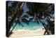 Anse Maquereau, Fregate Island, Seychelles-Sergio Pitamitz-Premier Image Canvas
